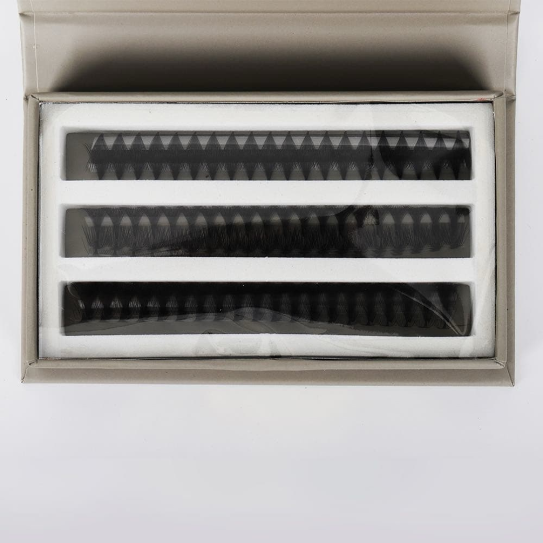 Lash box 8D